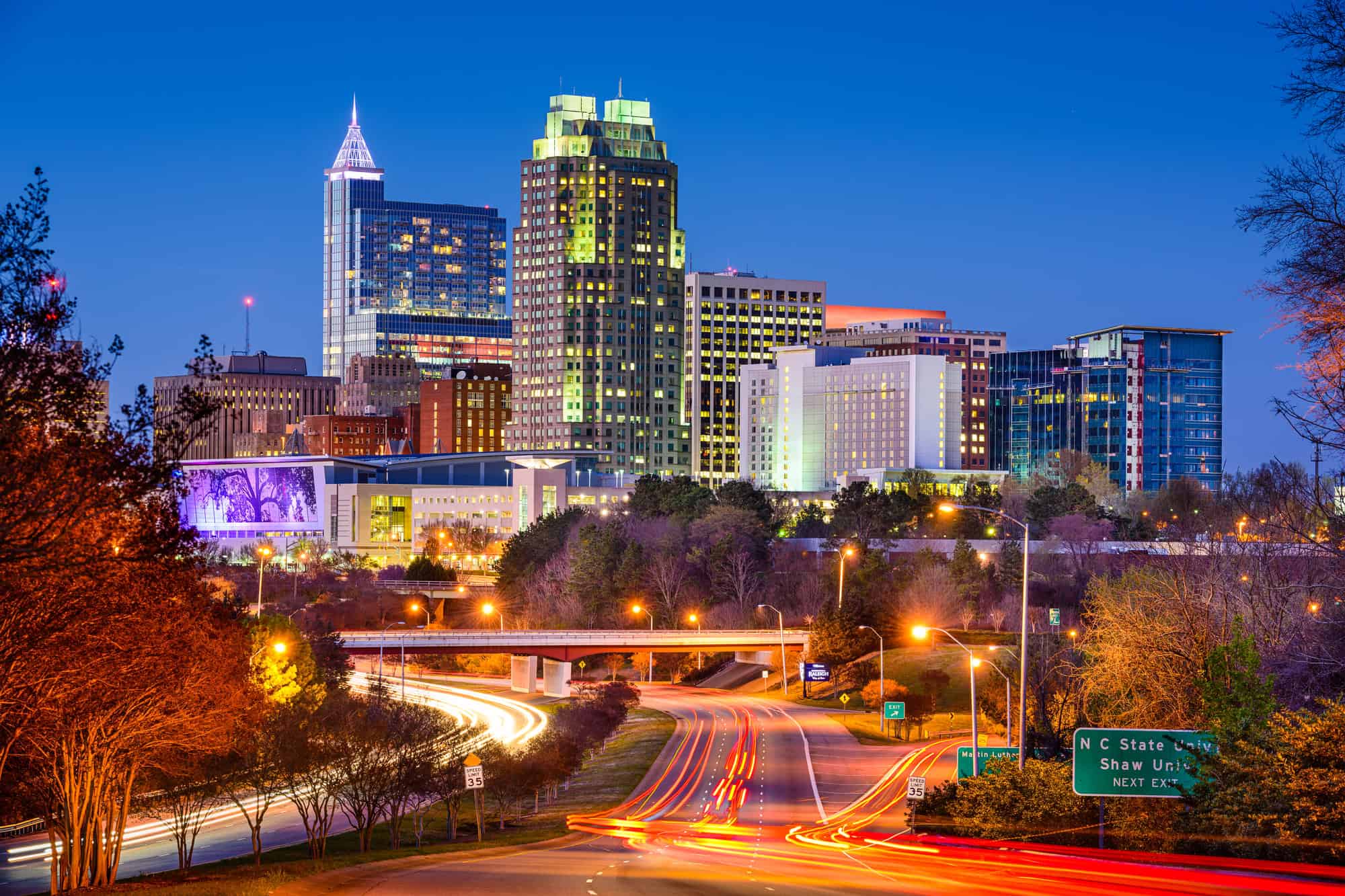 Raleigh North Carolina Skyline